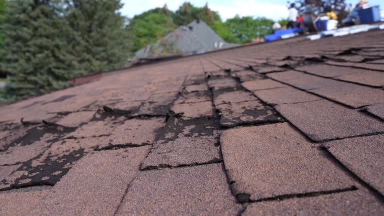 Best Rubber Roofing (EPDM, TPO)  in Alderwood Manor, WA