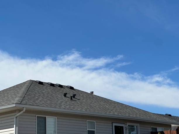 Professional Roofing Service in Alderwood Manor, WA